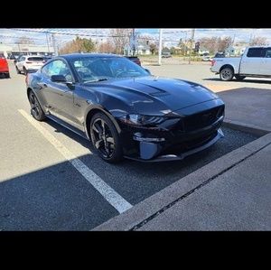 Meet your Posher, Shane